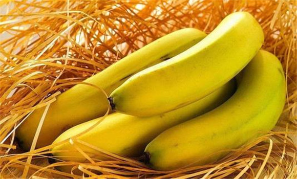 香蕉果實的催熟方法
