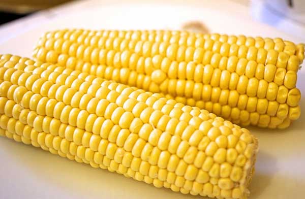 玉米種植方法