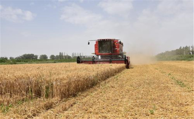 小麥收割機一天能收多少畝