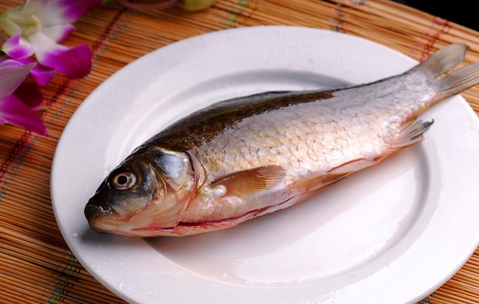 鯽魚的營養價值及功效