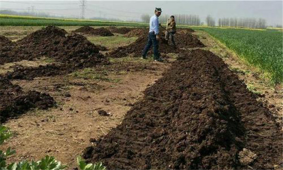 改善土壤理化性狀，提高土墩肥力