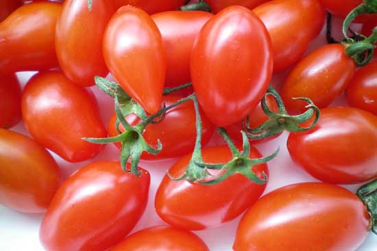 番茄種植管理方法