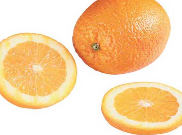橙子圖片