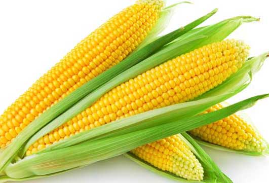 玉米的營養價值