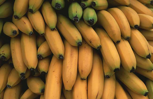 香蕉的功效與作用