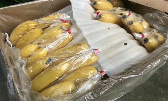 香蕉低溫冷藏法