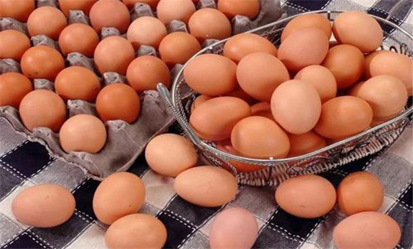 植物性飼料對蛋品的影響