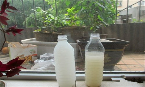 淘米水發酵屬于什么肥料