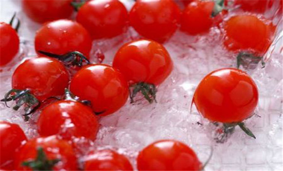 西紅柿保鮮方法