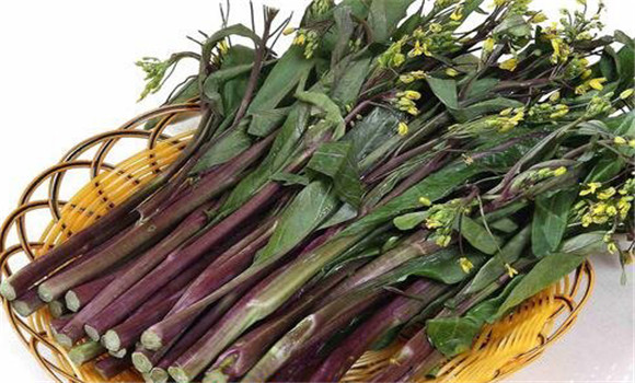 紅菜苔的營養價值 紅菜苔的功效與作用