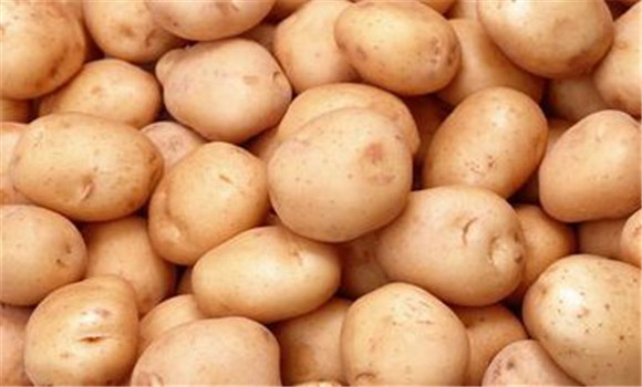馬鈴薯的營養價值及功效