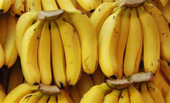香蕉的營養價值