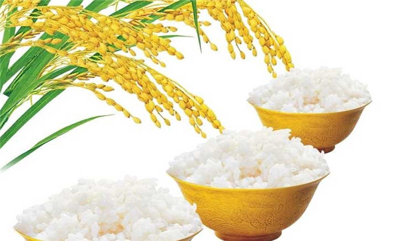 大米的營養成分