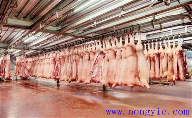 豬肉為什么要貯藏 豬肉低溫貯藏的原理