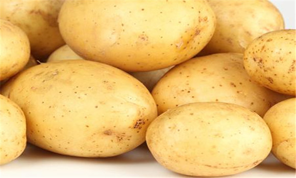 馬鈴薯營養特點