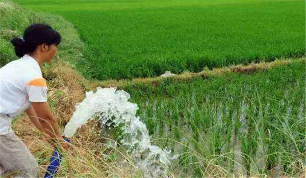 合理灌溉和施肥