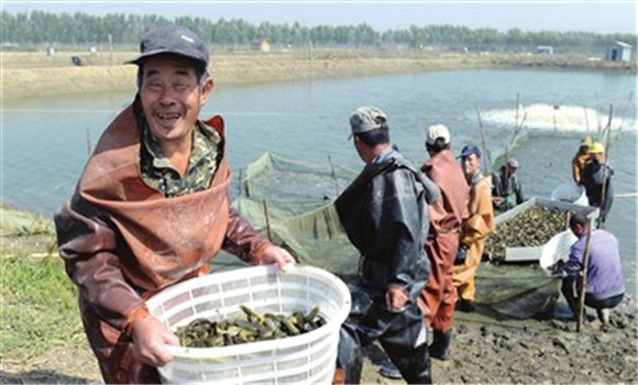池塘泥鰍捕撈方法