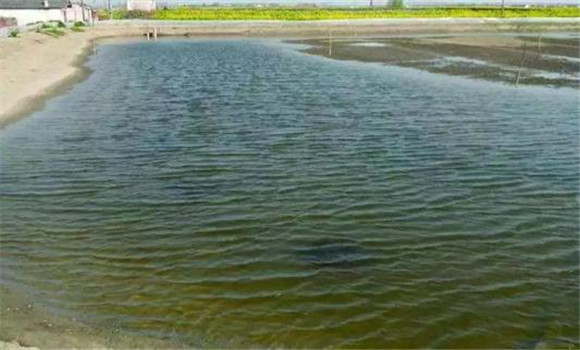 養殖河蟹對水質的要求