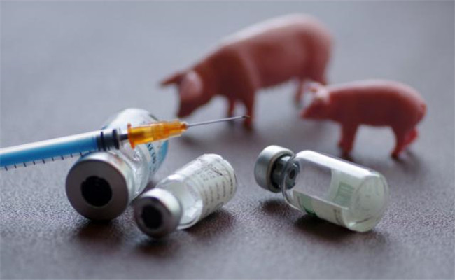 各類豬疫苗特點