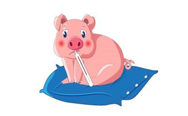 熱應激對豬生長的影響