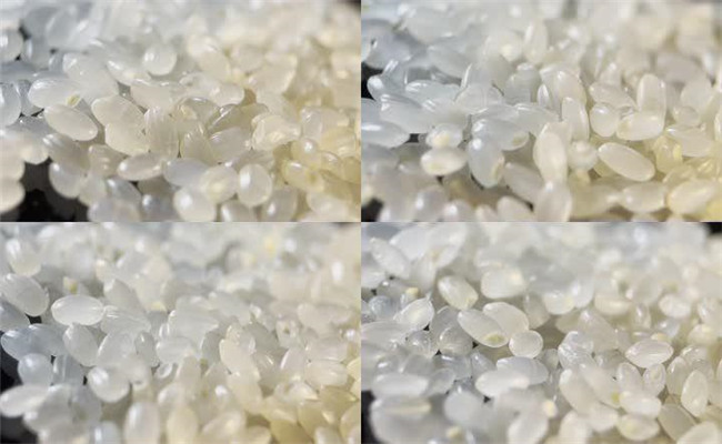 現在吃的大米是雜交稻嗎