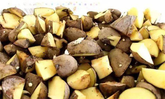 馬鈴薯的選種與催芽方法