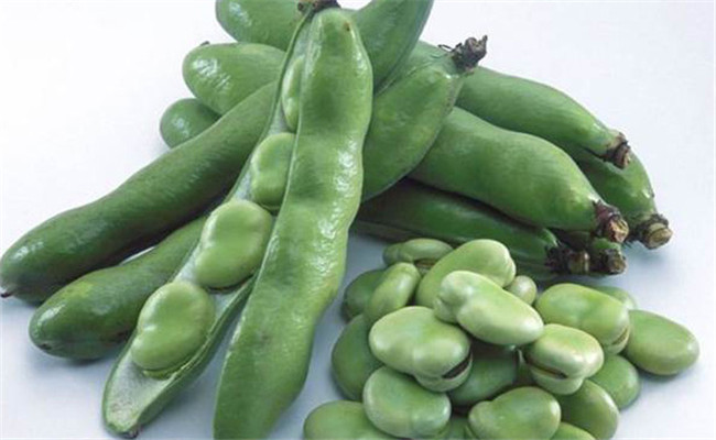 蠶豆的營養成分和食用方法