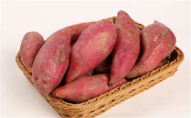 傳統醫學對紅薯功效的記述