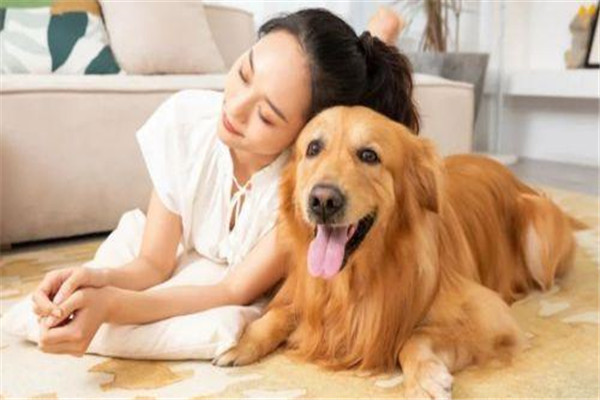 寵物犬對家庭生活及身心健康有何好處