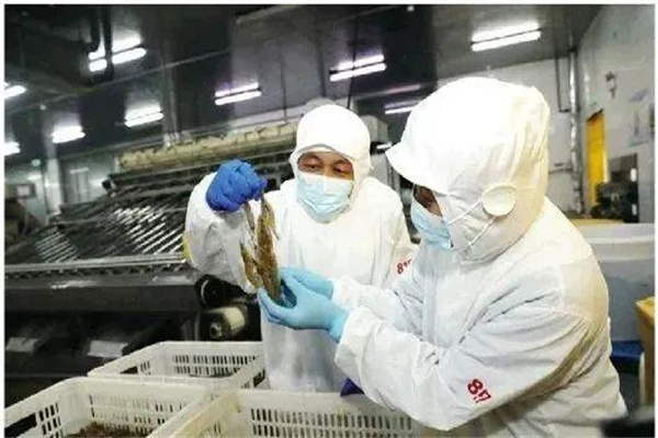 南美白對蝦蝦苗運輸問題