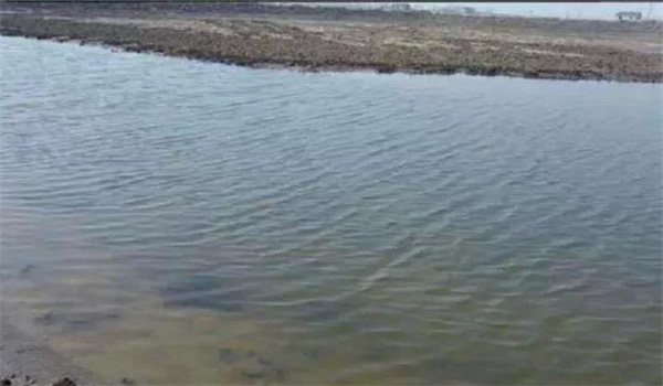 河蟹養殖對水質的要求