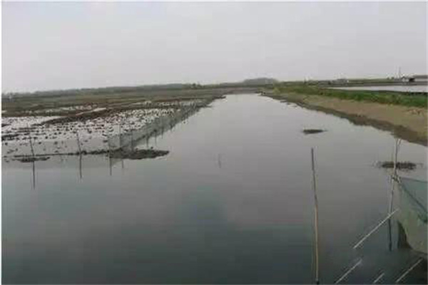 解決河蟹養殖低產甚至虧損的主要措施