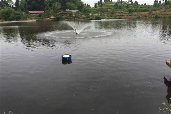 淡水白鯧養殖的池塘條件