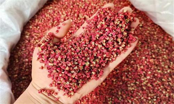 大紅袍花椒的分級方法與標準