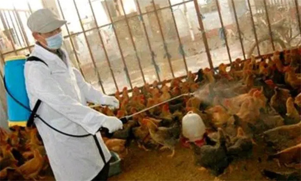 養雞場安全生產管理制度
